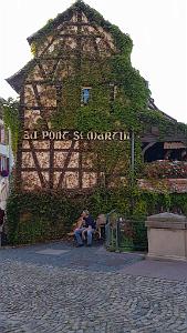 2022 08 DU COTE DE STRASBOURG_3